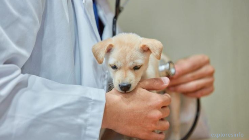 specialty insurance